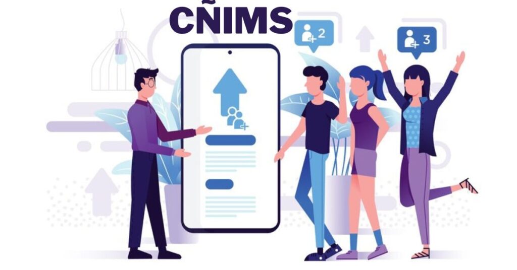 Cñims: Revolutionizing Digital Operations with Computational Niche Information Management Systems